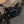 EXC Frameguards lbx