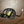 Talaria XXX V3 Plug & Play Rock Light