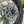 EXC Renthal Sprocket Adapter Titanium Bolts