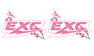 EXC Cherry Blossom Fork Tube Decals